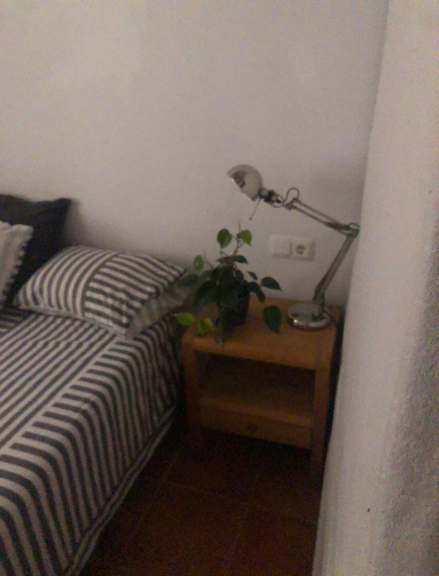 Apartment San Bartolome *