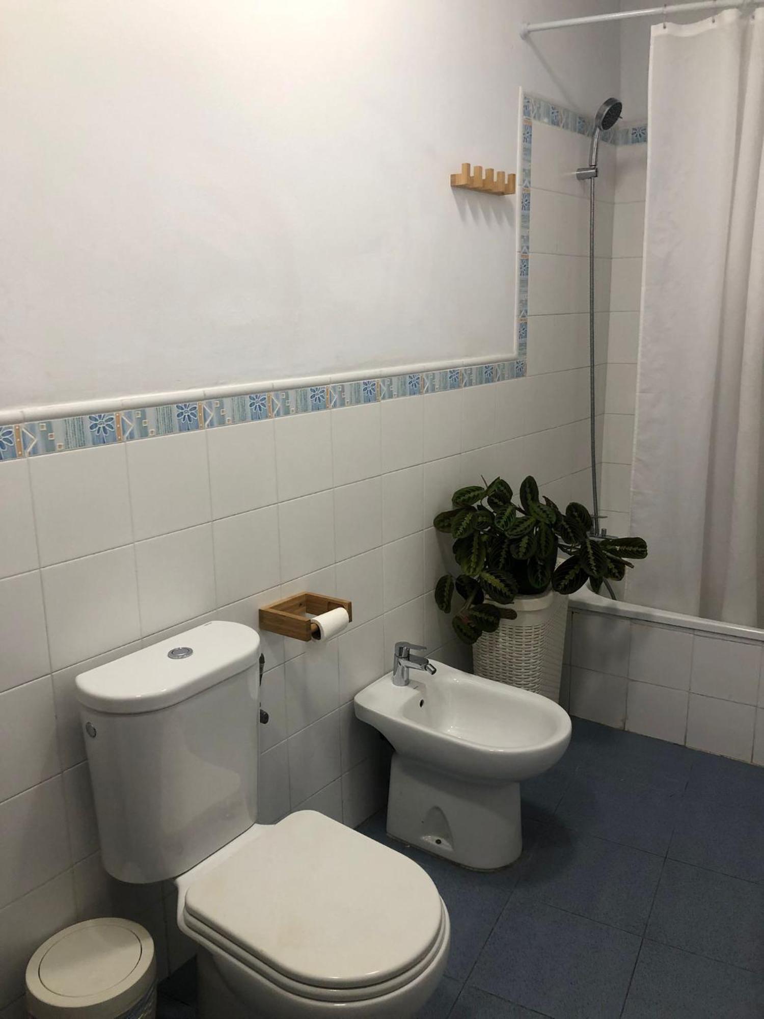 Apartment San Bartolome *
